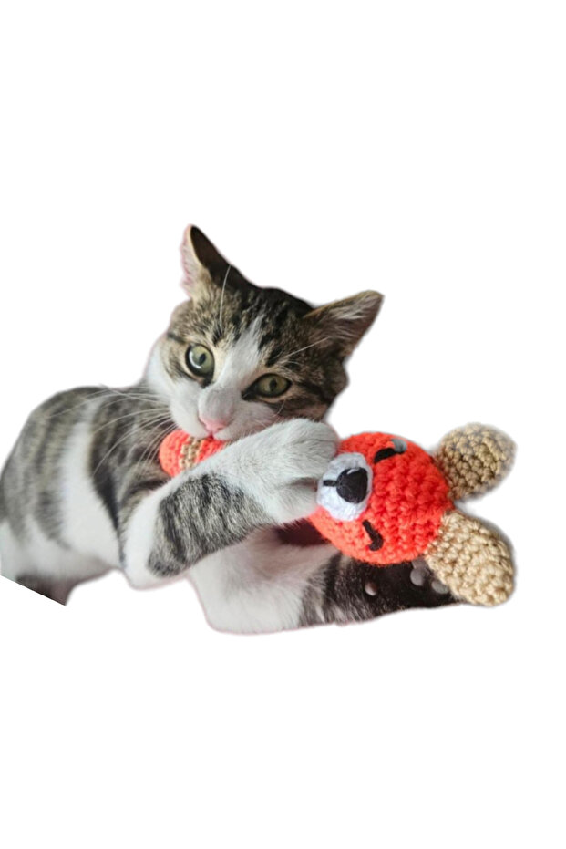 Catnip Cat Scratching Toy & - 1