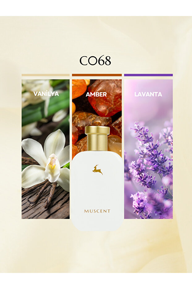 C068 Vibe3 50 ml.