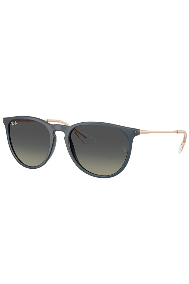 Rb4171 681311 54 Women's Sunglasses