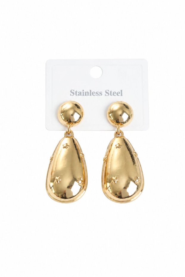 316L Steel Gold Color Drop Model Women's Earrings