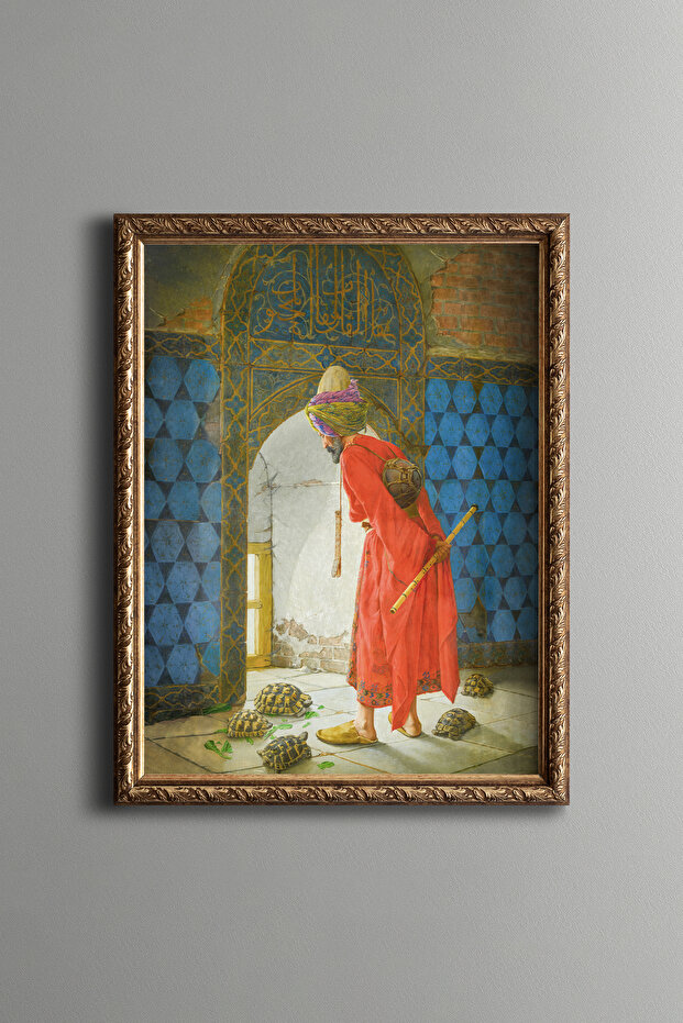 مدرب السلحفاة - إطار بنمط عتيق - موديل نحيف
