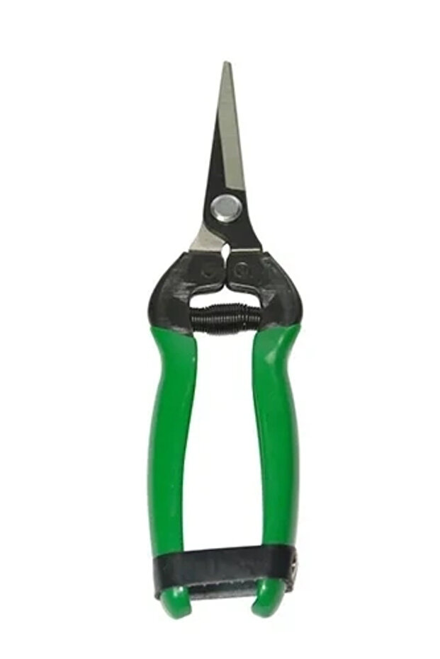 429e2 - Flat Blade Citrus Scissors 190 Mm