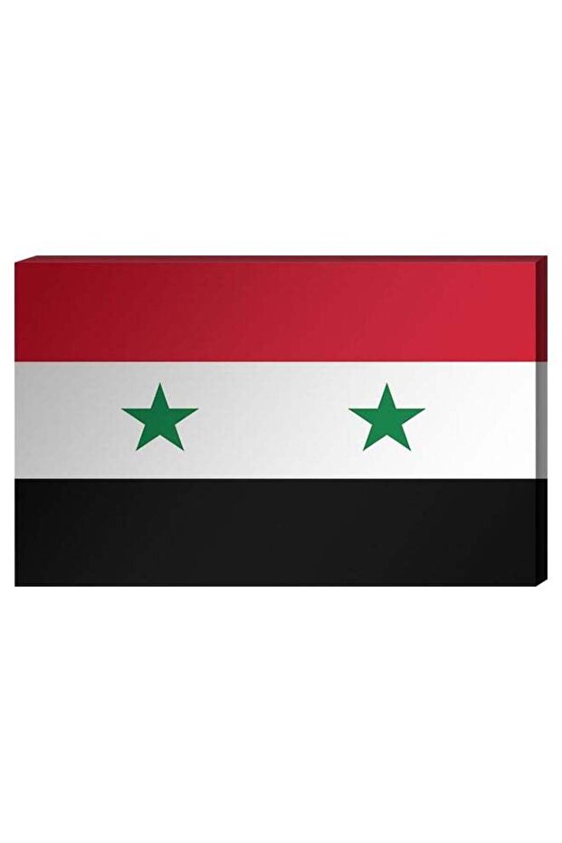 Syrian Flag Wall Decor Painting With Inner Frame Multicolour 40 x 60centimeter