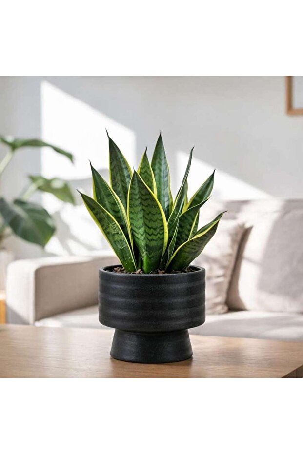 Max Stoneware Striped Pedestal Planter 13.5x13.5x13.7cm - Black
