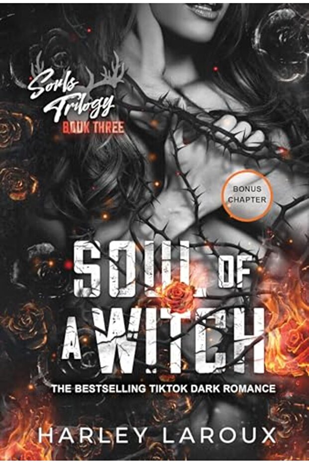Soul Of A Witch A Spicy Dark Demon Romance
