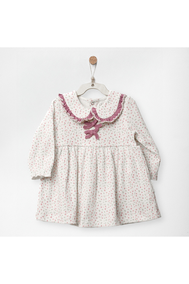 Baby Dress Little and Loved