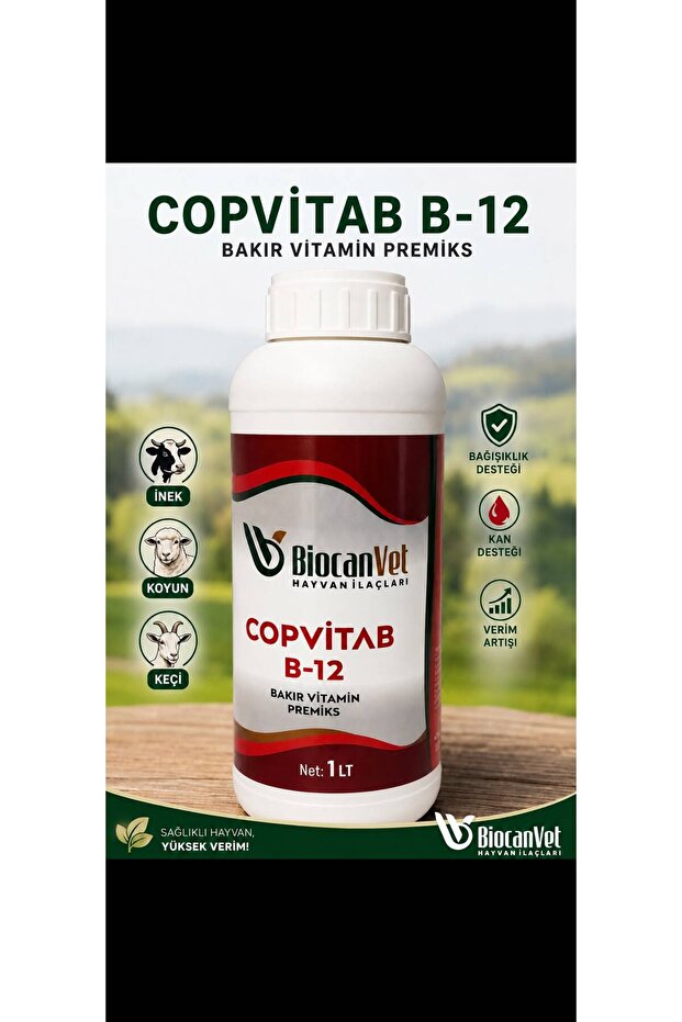 COPVİTAB B-12 1LT