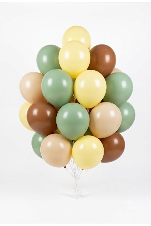 Nature Adventure Little Explorer Themed 20-Piece Macaron Yellow Eucalyptus Sea Sand Brown Pulseless Balloon Set 1 Year Old Birthday Decoration