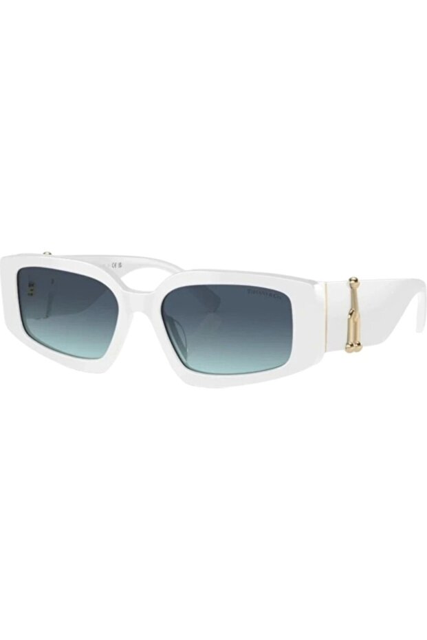 Co Tf4208U 83579S Women's Sunglasses