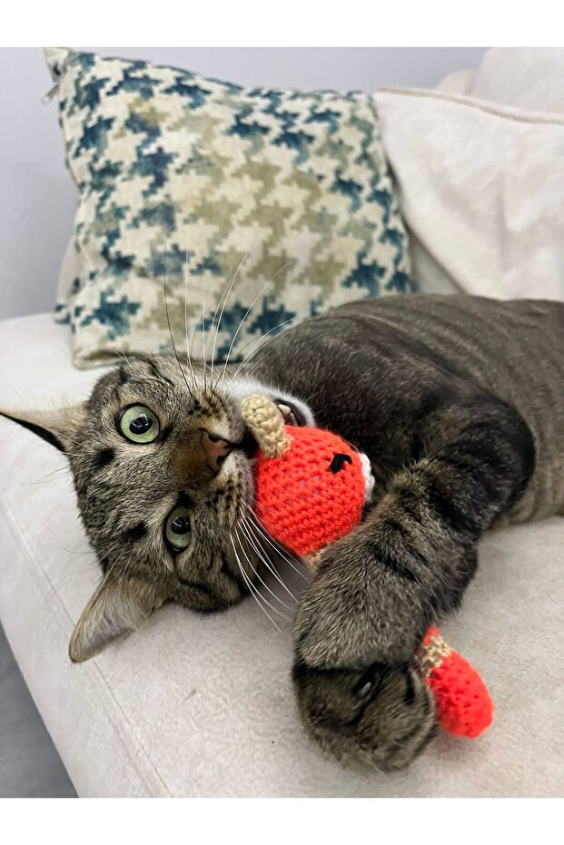 Catnip Cat Scratching Toy & - 3