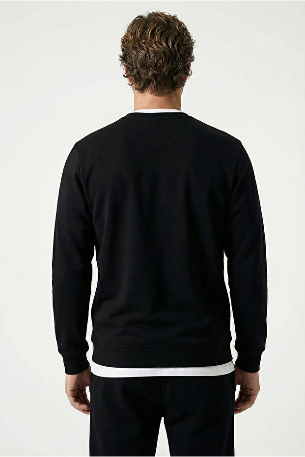 Crew Neck Regular Fit Cotton Basic Sweatshirt - 5