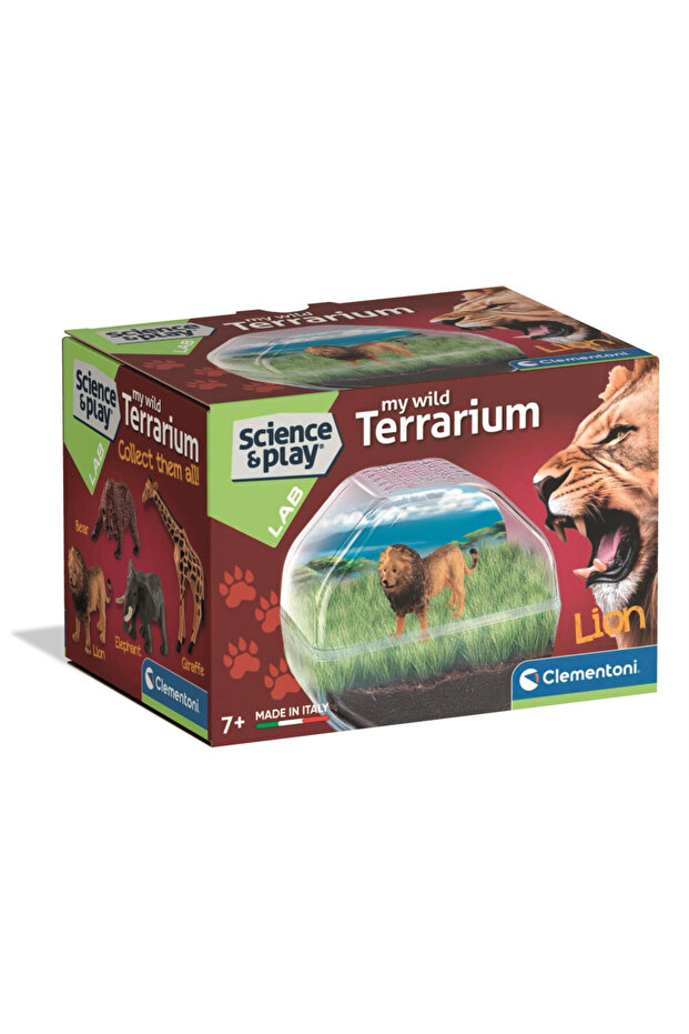 Animals Lion Mini terariu - 1