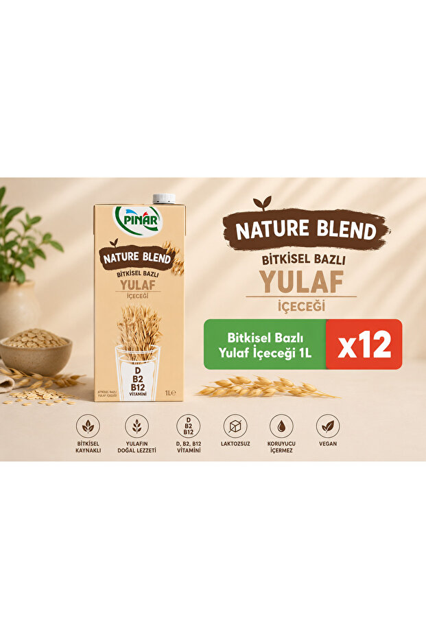 Bitkisel Yulaf Sütü 1 lt x 12 Adet - 2