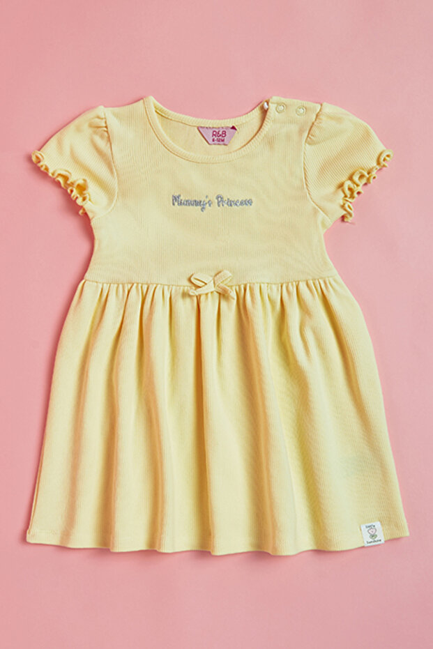Embroidered Dress with Crew Neck and Short Sleeves