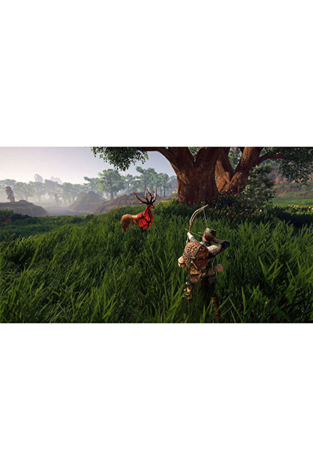 Outward PS4 Game - 6