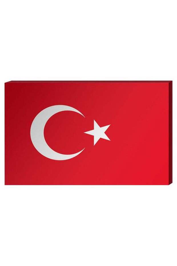 Turkish Flag Wall Decor Painting With Inner Frame Red/White 40 x 60centimeter