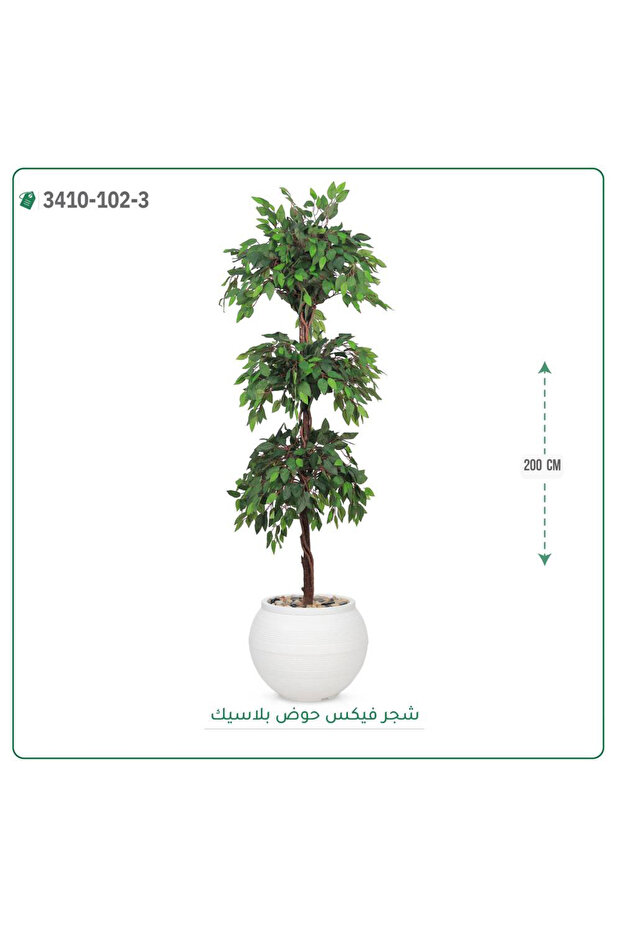 شجر فيكس صناعية حوض بلاستك { ارتفاع 200 سم }