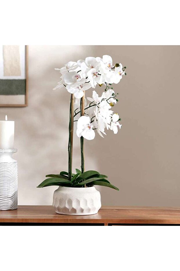 Real Touch Orchid In Ceramic Pot 55.5x20x63.5cm - White
