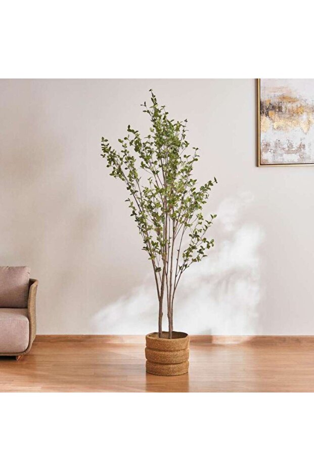 Olea Europaea Tree With Pot H240cm - Green