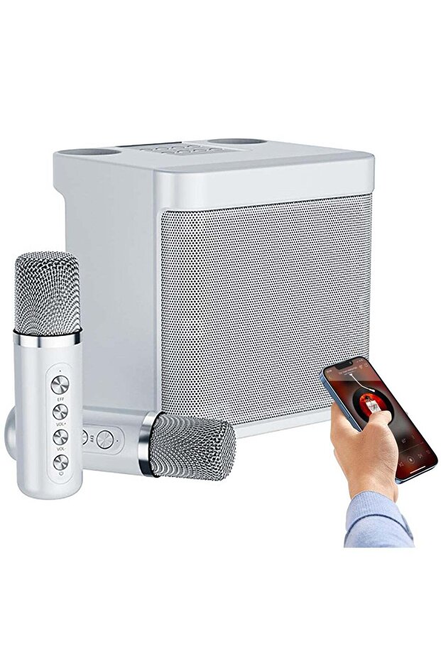 Karaoke Machine with 2 Wireless Microphones, Portable Bluetooth Karaoke Speaker PA System