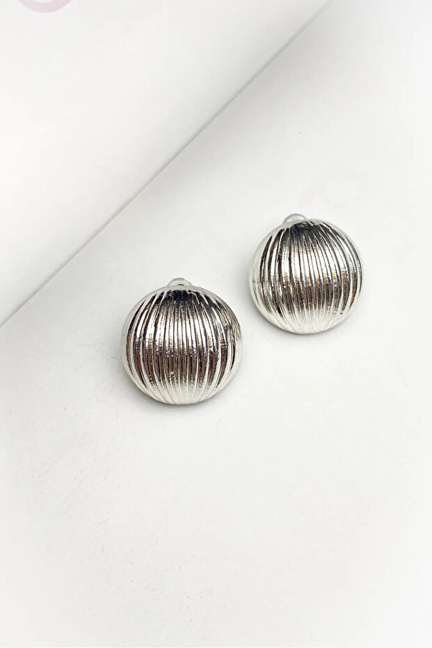 Striped Model Silver Color Earrings
