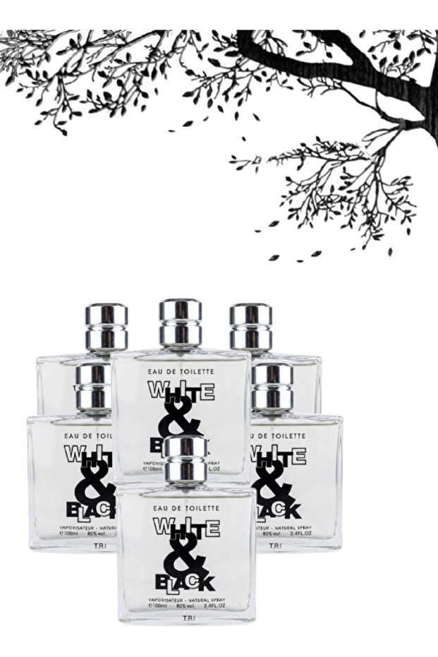 6 قطع عطر أبيض وأسود 100 مل