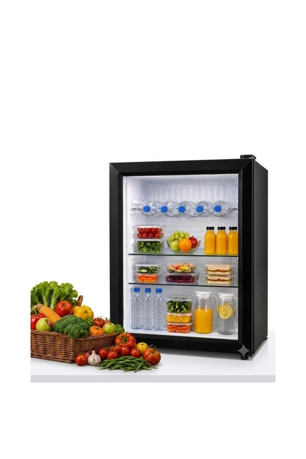 48L Mini Refrigerator with Direct Cooling, 55W Power, Compact Single Door Fridge for Home & Office