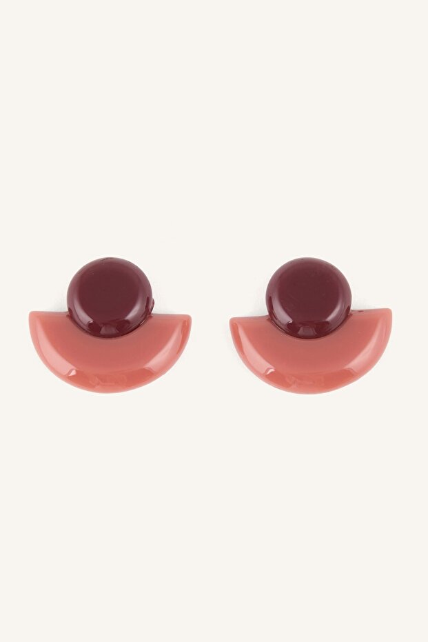 Two-Color Geometric Shaped Shiny Women's Earrings I1597Axns