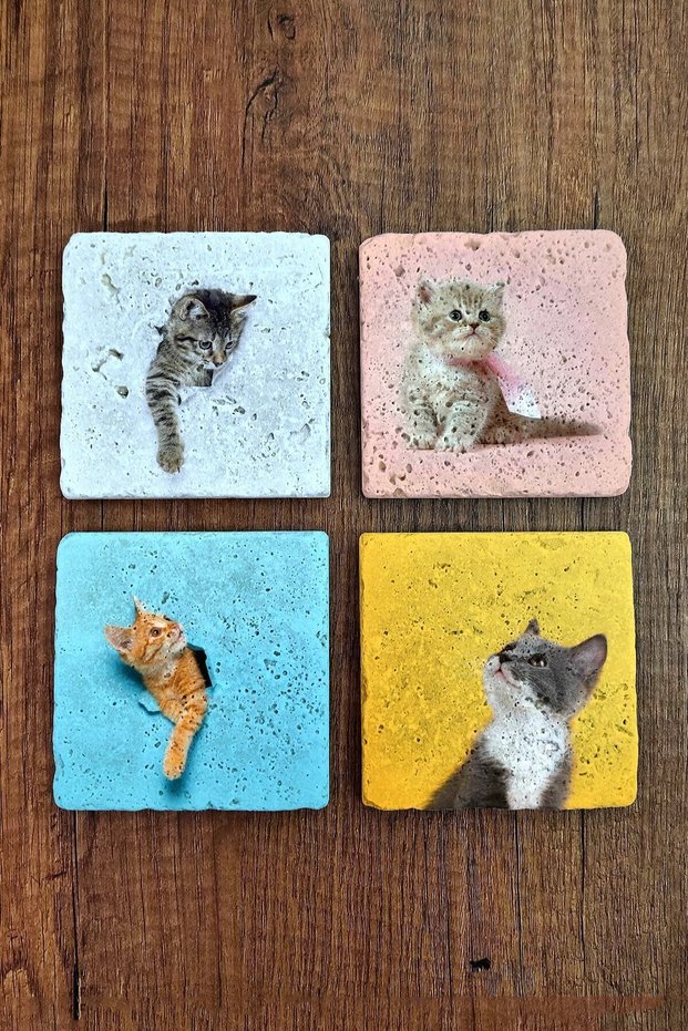 Natural Stone Coasters Colorful Cats Printed Set of 4