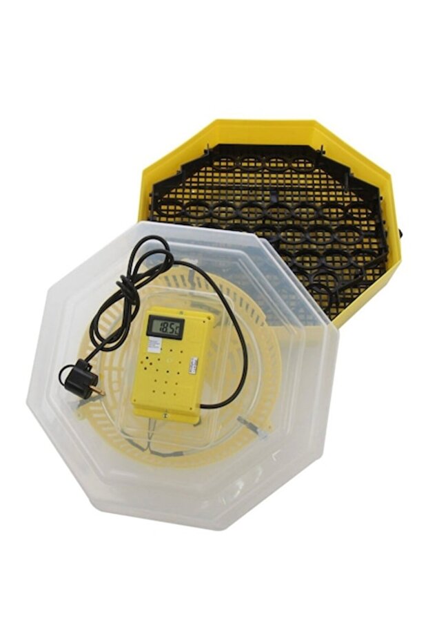 Incubator automat Cleo 5DT