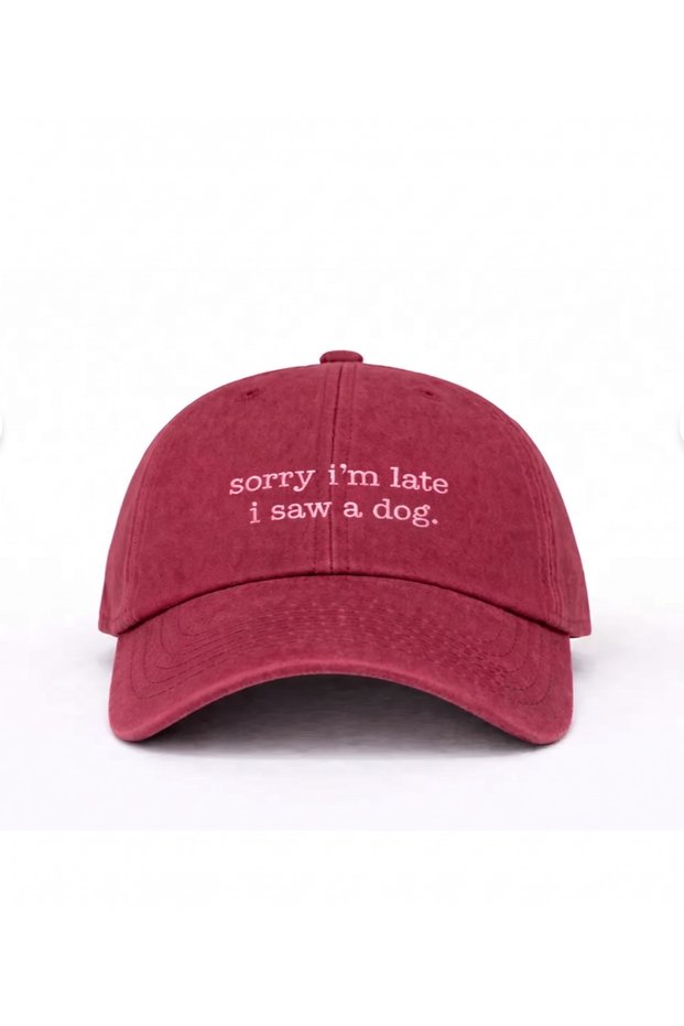 ''Sorry I'M Late, I Saw a Dog'' Embroidered Washable Hat / Dog Embroidered Baseball Cap