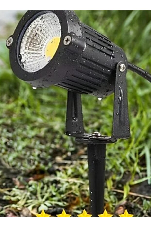 Transplanting Flashlight - 1