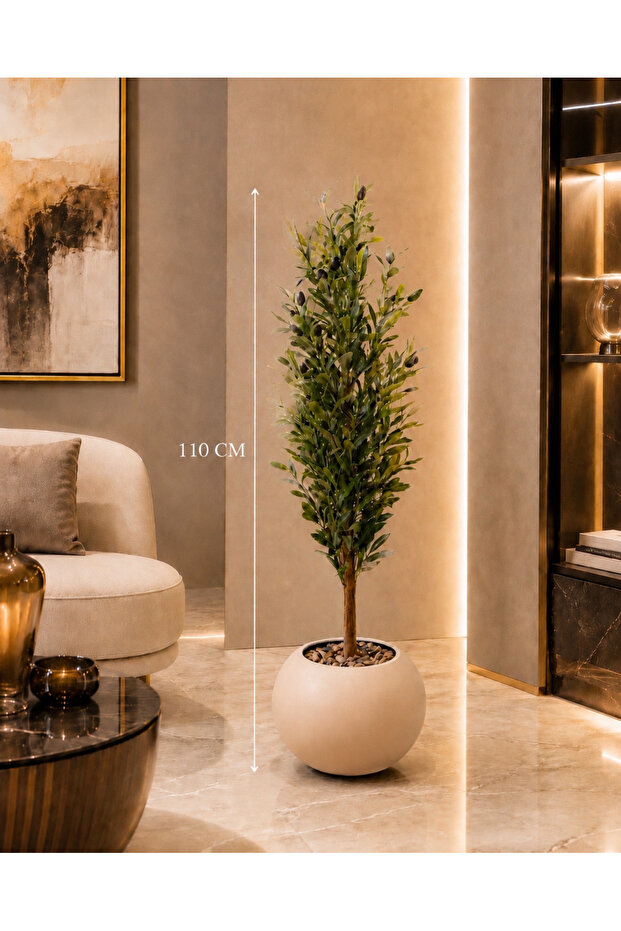 110 cm High Olive Tree with Mecanico Rootstock