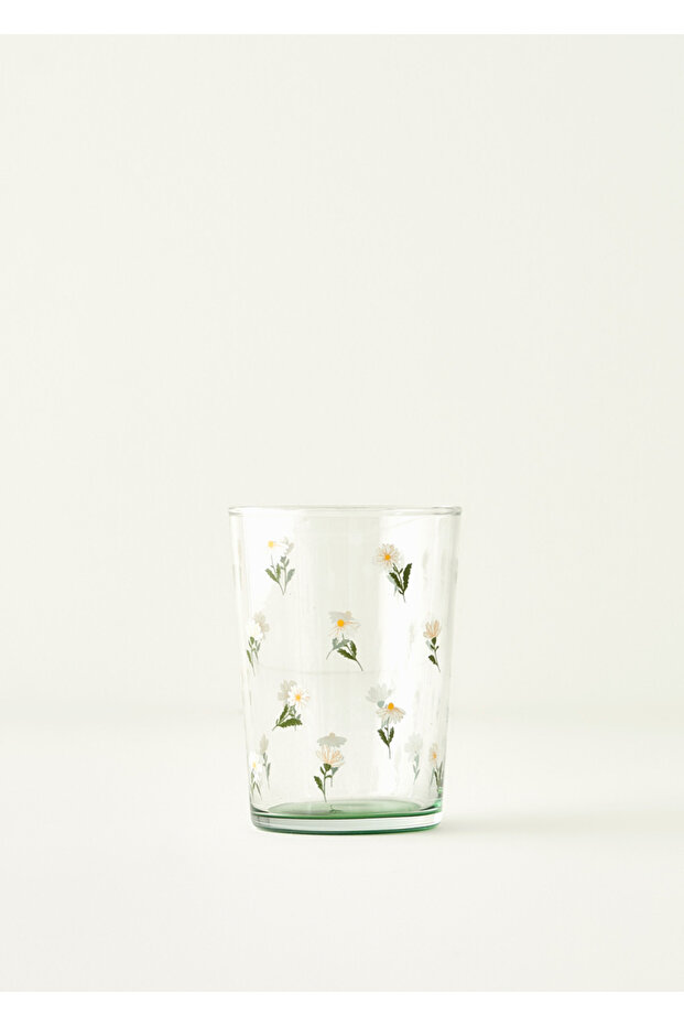Daisy Soft Drink Glass (510 Cc)