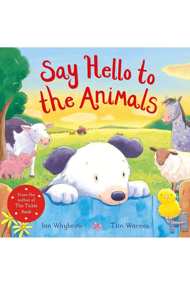 Say Hello to the Animals