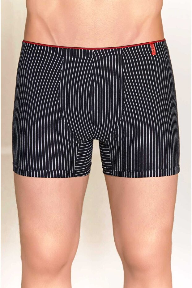 Berrak men's striped boxer