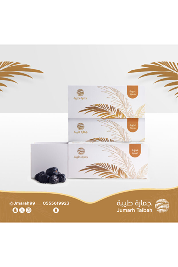 تمر فاخر 3 كجم عرض خاص