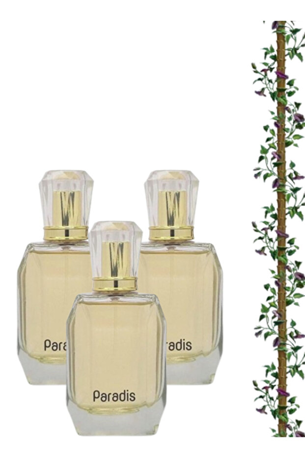 3 قطع عطر باراديس 100 مل