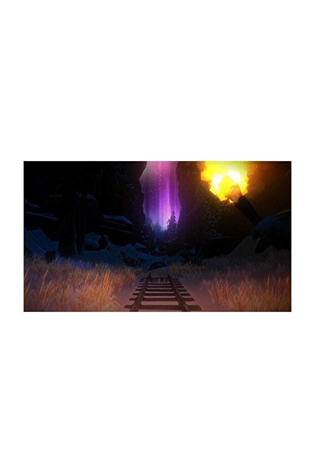 The Long Dark PS4 Oyun - 2