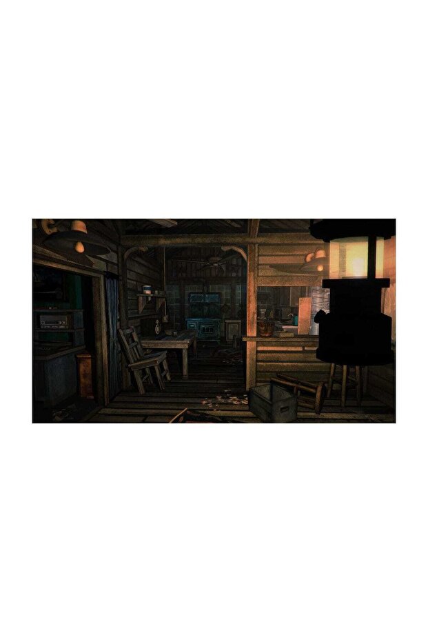The Long Dark PS4 Oyun - 8