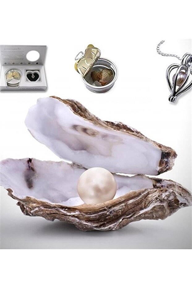 Real Pearl Necklace in Oysters