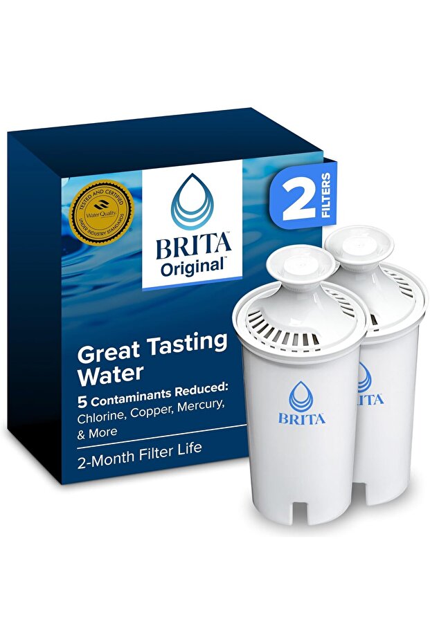Long Last Water Filter, 2ct - 1