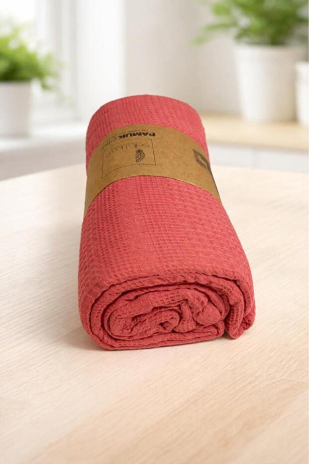 Single Summer Cotton Single Pique Dried Rose