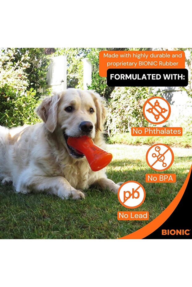 BIONIC Bone Large 15cm - 4