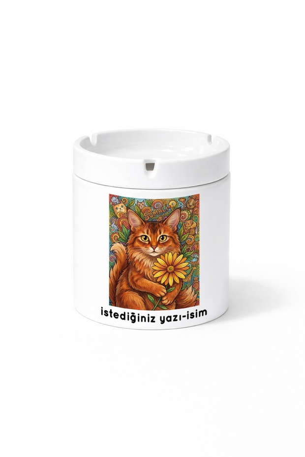 Animal Somali Cat Long-Haired Abyssinian Double-Sided Printed Porcelain Magic Mug Cup
