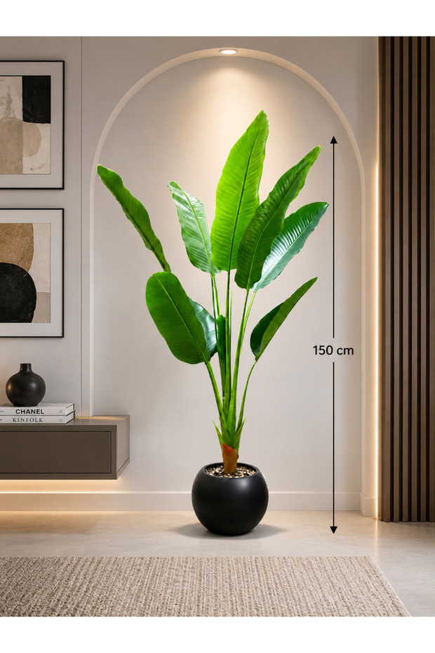 شجرة موز بطول 150 cm بمركن مكور