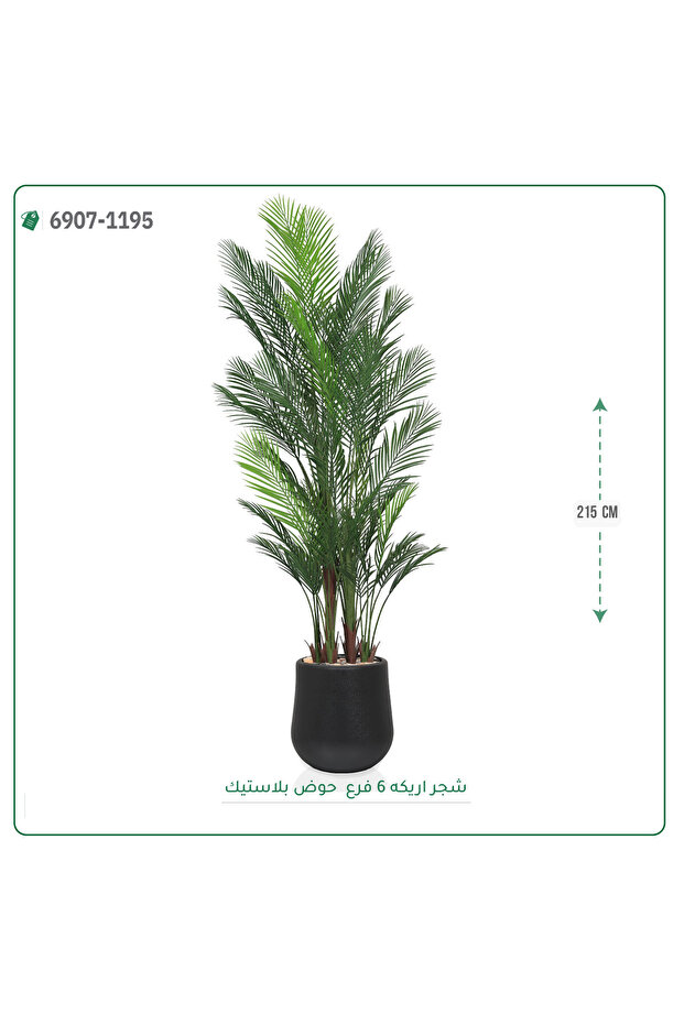 شجر اريكا صناعية حوض بلاستيك { ارتفاع 215 سم } - 4