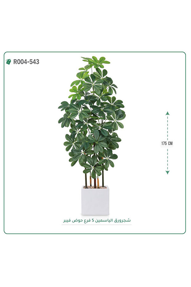 شجرة ورق ياسمين صناعية حوض فيبر مربع { ارتفاع 175 سم }
