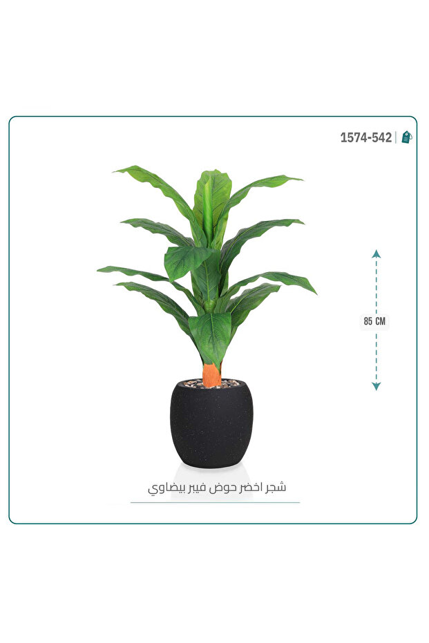 شجرة ورق موز حوض فيبر بيضاوي