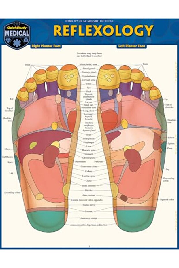 Reflexology A Quickstudy Laminated Reference Guide - 1